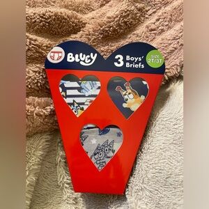 NWT Bluey Valentine’s Day Little Boy Underwear Pack